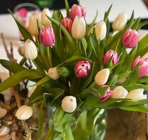 Pflegemitarbeiter Tagespflege Erfurt Pflegemitarbeiter Tagespflege Erfurt